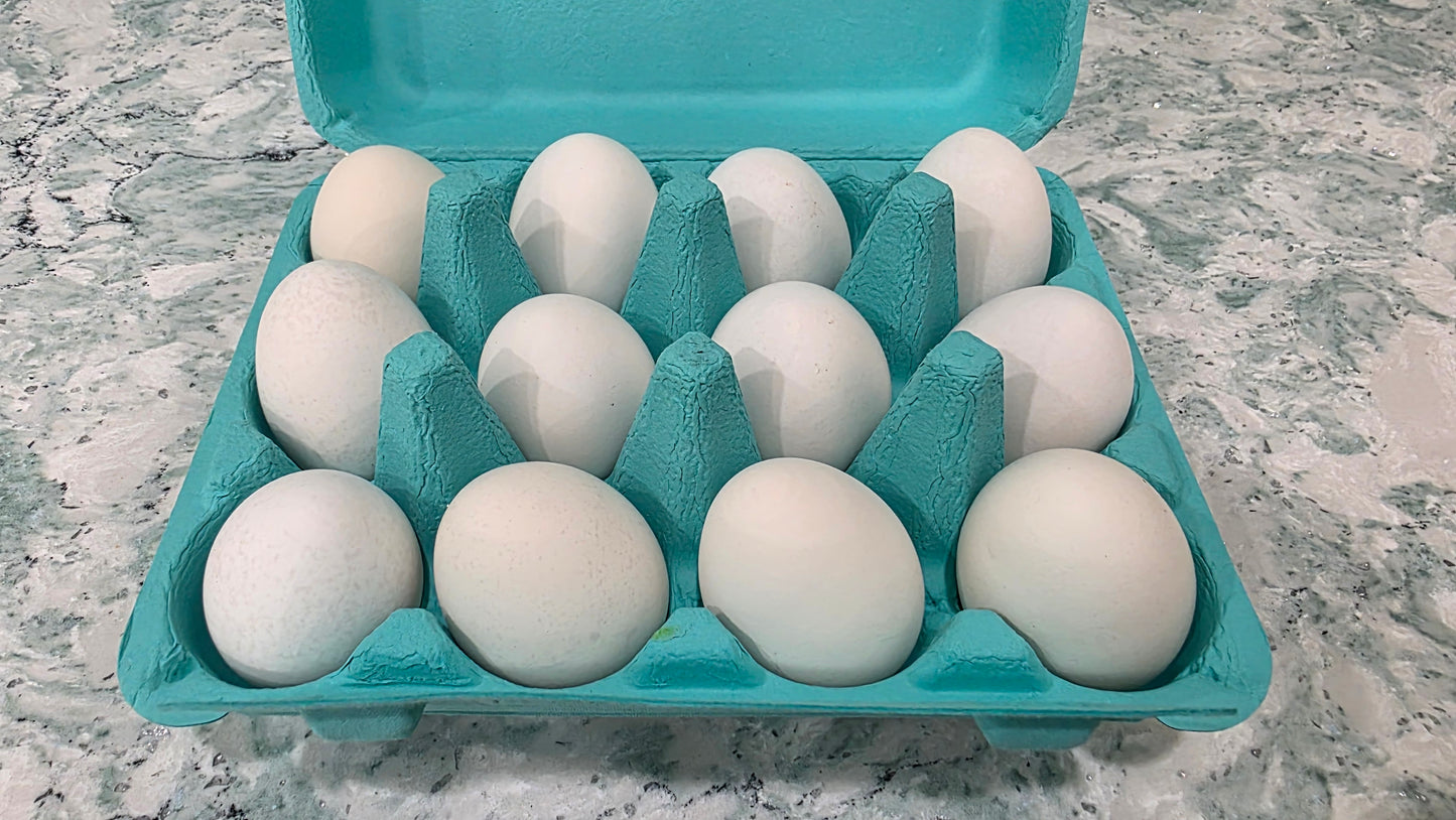 Fresh Unwashed Eggs (Pet Consumption Only)