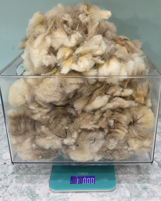 Raw Unwashed Unprocessed Wool