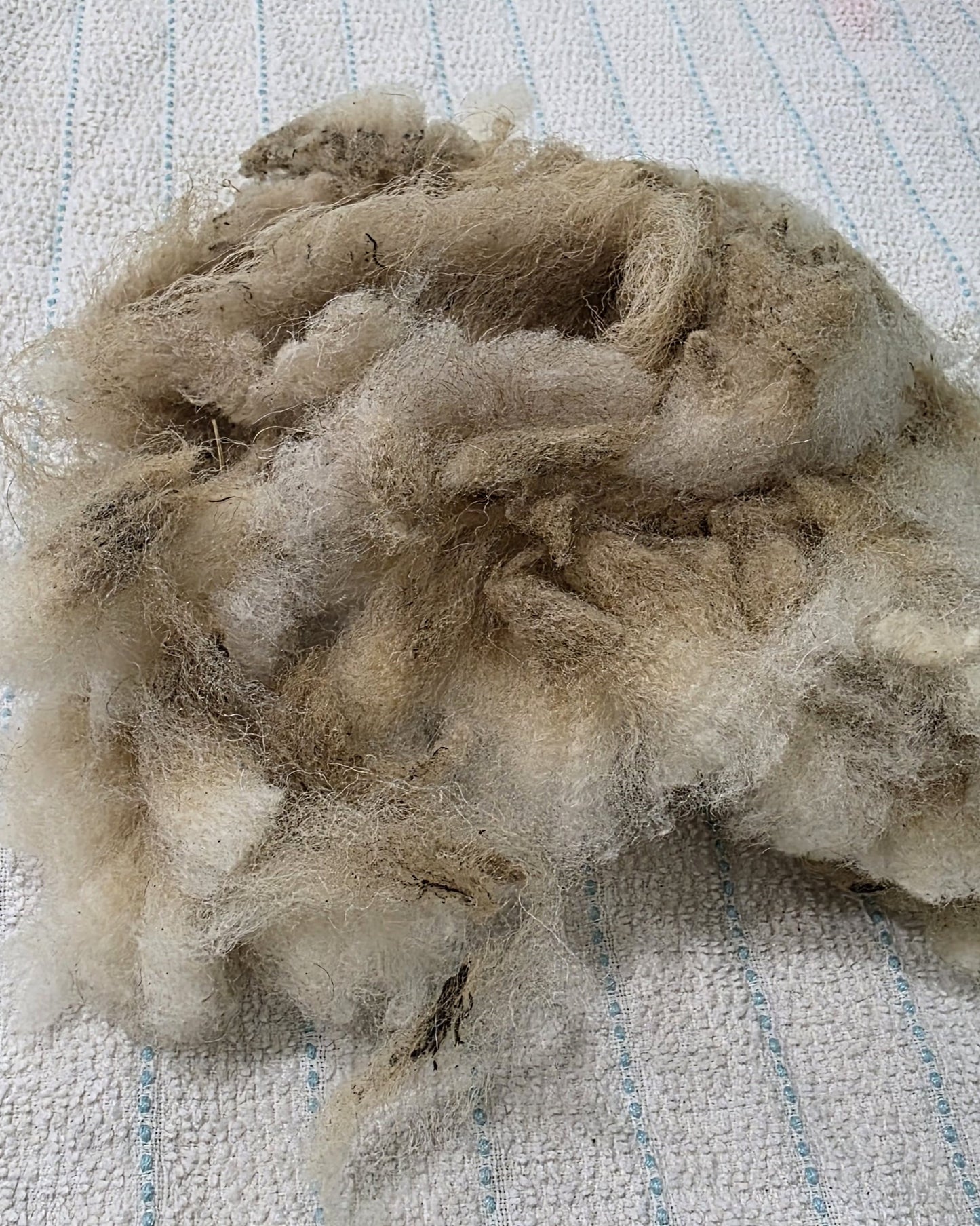 Raw Unwashed Unprocessed Wool